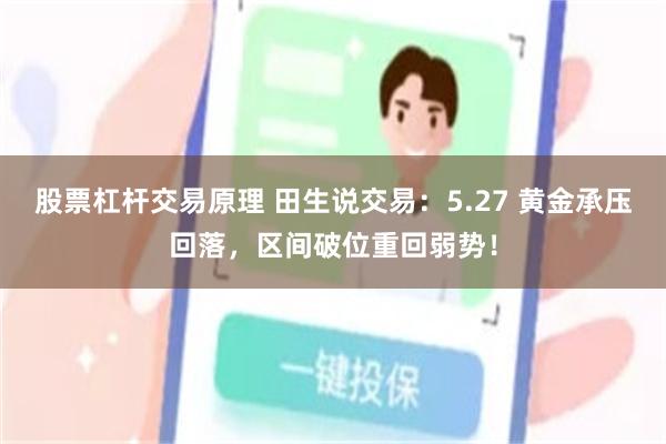 股票杠杆交易原理 田生说交易：5.27 黄金承压回落，区间破位重回弱势！