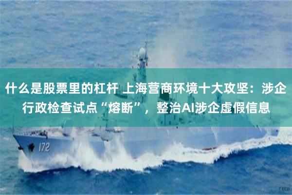 什么是股票里的杠杆 上海营商环境十大攻坚：涉企行政检查试点“熔断”，整治AI涉企虚假信息