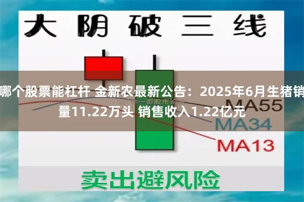 哪个股票能杠杆 金新农最新公告：2025年6月生猪销量11.22万头 销售收入1.22亿元