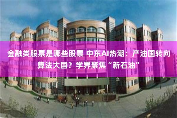 金融类股票是哪些股票 中东AI热潮：产油国转向算法大国？学界聚焦“新石油”