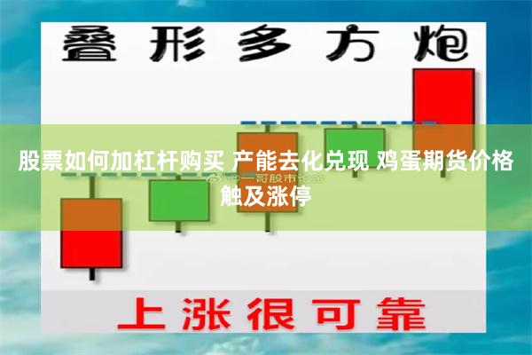 股票如何加杠杆购买 产能去化兑现 鸡蛋期货价格触及涨停