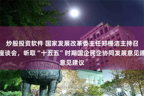 炒股投资软件 国家发展改革委主任郑栅洁主持召开座谈会，听取“十五五”时期国企民企协同发展意见建议