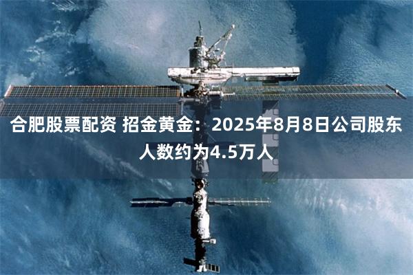 合肥股票配资 招金黄金：2025年8月8日公司股东人数约为4.5万人