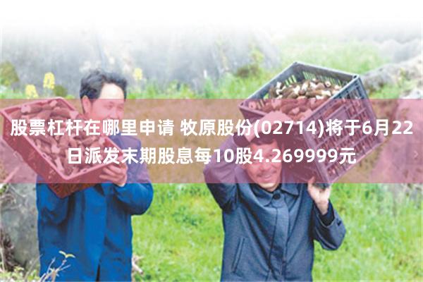股票杠杆在哪里申请 牧原股份(02714)将于6月22日派发末期股息每10股4.269999元