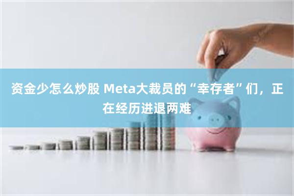 资金少怎么炒股 Meta大裁员的“幸存者”们，正在经历进退两难