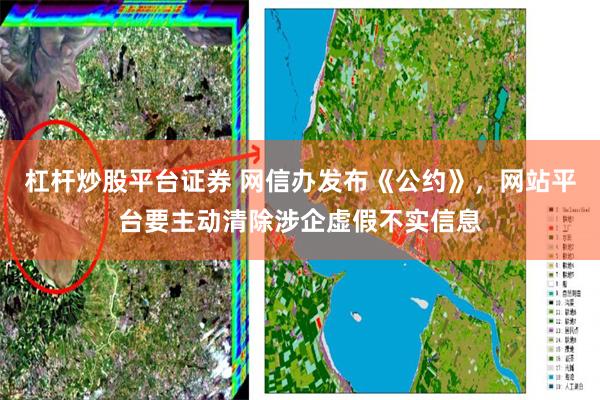 杠杆炒股平台证券 网信办发布《公约》，网站平台要主动清除涉企虚假不实信息