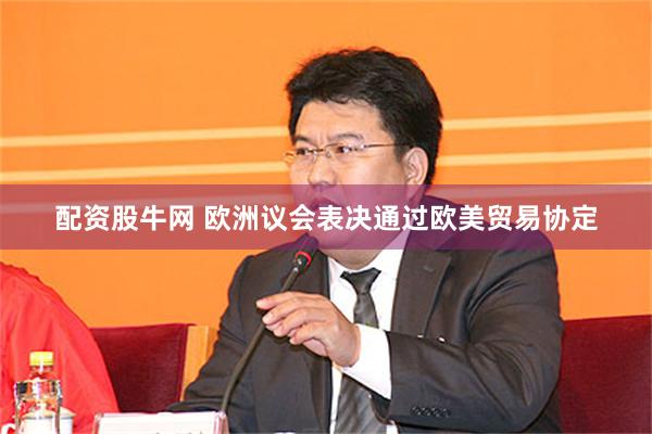 配资股牛网 欧洲议会表决通过欧美贸易协定