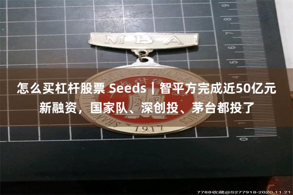 怎么买杠杆股票 Seeds｜智平方完成近50亿元新融资，国家队、深创投、茅台都投了