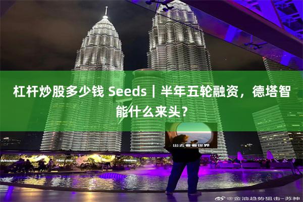 杠杆炒股多少钱 Seeds｜半年五轮融资，德塔智能什么来头？