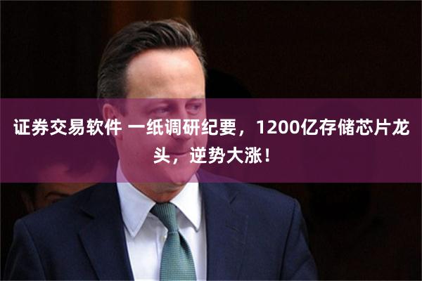 证券交易软件 一纸调研纪要,1200亿存储芯片龙头,逆势大涨!