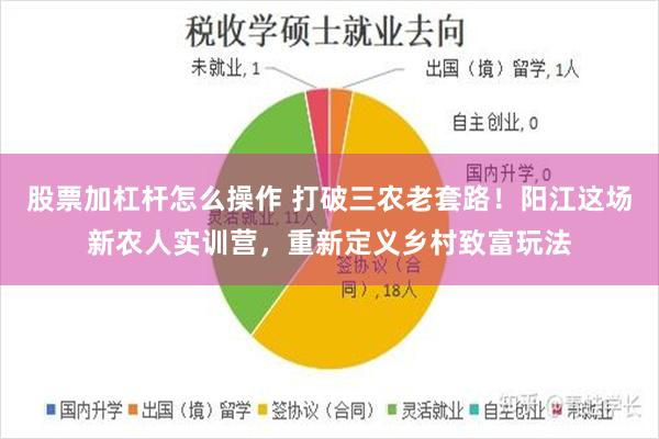 股票加杠杆怎么操作 打破三农老套路!阳江这场新农人实训营,重新定义乡村致富玩法