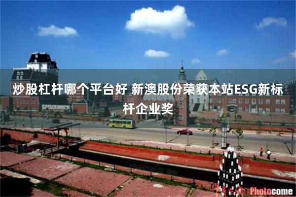炒股杠杆哪个平台好 新澳股份荣获本站ESG新标杆企业奖