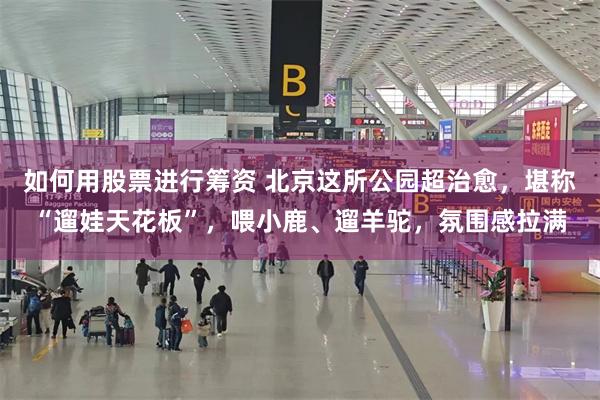 如何用股票进行筹资 北京这所公园超治愈,堪称“遛娃天花板”,喂小鹿、遛羊驼,氛围感拉满