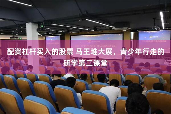 配资杠杆买入的股票 马王堆大展，青少年行走的研学第二课堂