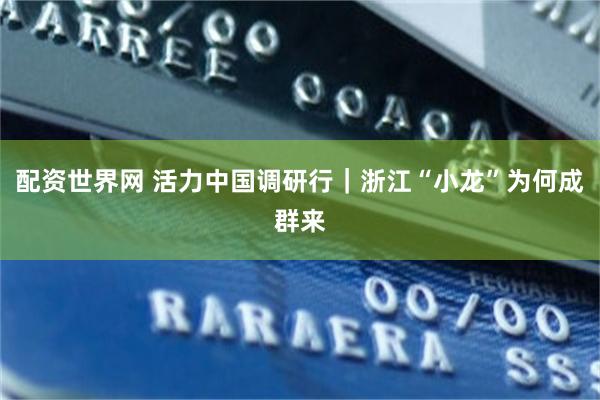 配资世界网 活力中国调研行|浙江“小龙”为何成群来