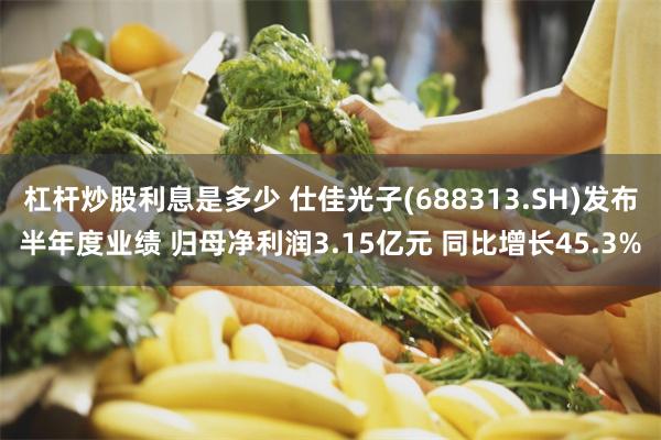 杠杆炒股利息是多少 仕佳光子(688313.SH)发布半年度业绩 归母净利润3.15亿元 同比增长45.3%
