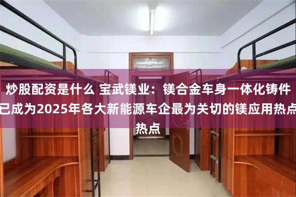 炒股配资是什么 宝武镁业：镁合金车身一体化铸件已成为2025年各大新能源车企最为关切的镁应用热点