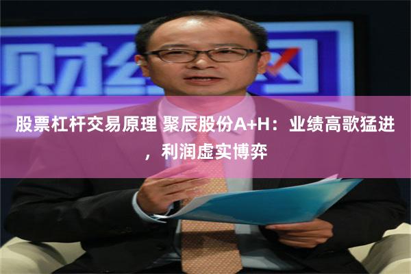 股票杠杆交易原理 聚辰股份A+H：业绩高歌猛进，利润虚实博弈