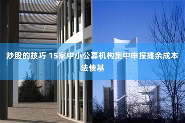炒股的技巧 15家中小公募机构集中申报摊余成本法债基
