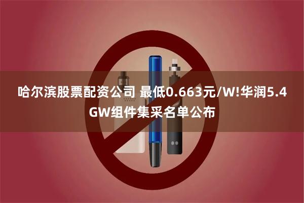 哈尔滨股票配资公司 最低0.663元/W!华润5.4GW组件集采名单公布