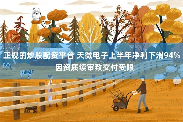 正规的炒股配资平台 天微电子上半年净利下滑94%   因资质续审致交付受限