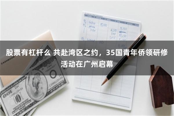 股票有杠杆么 共赴湾区之约，35国青年侨领研修活动在广州启幕