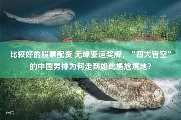 比较好的股票配资 无缘亚运奖牌，“四大皆空”的中国男排为何走到如此尴尬境地？