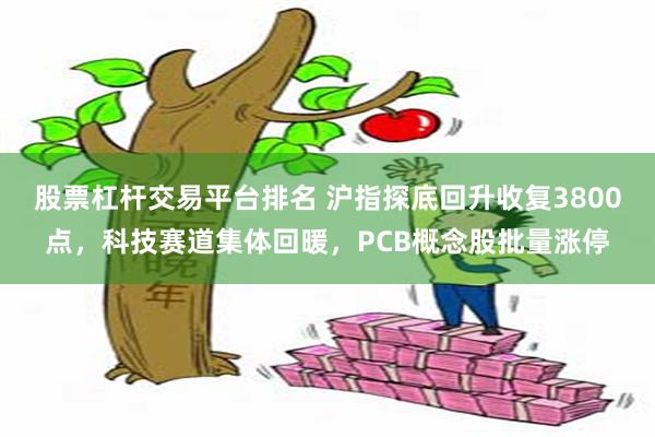 股票杠杆交易平台排名 沪指探底回升收复3800点，科技赛道集体回暖，PCB概念股批量涨停