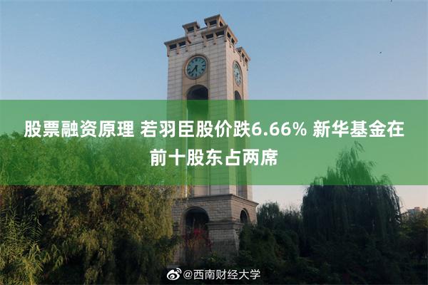 股票融资原理 若羽臣股价跌6.66% 新华基金在前十股东占两席