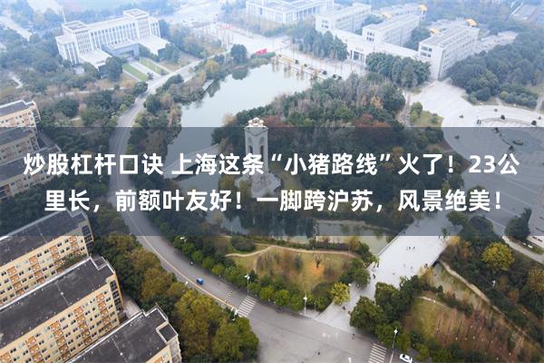 炒股杠杆口诀 上海这条“小猪路线”火了！23公里长，前额叶友好！一脚跨沪苏，风景绝美！